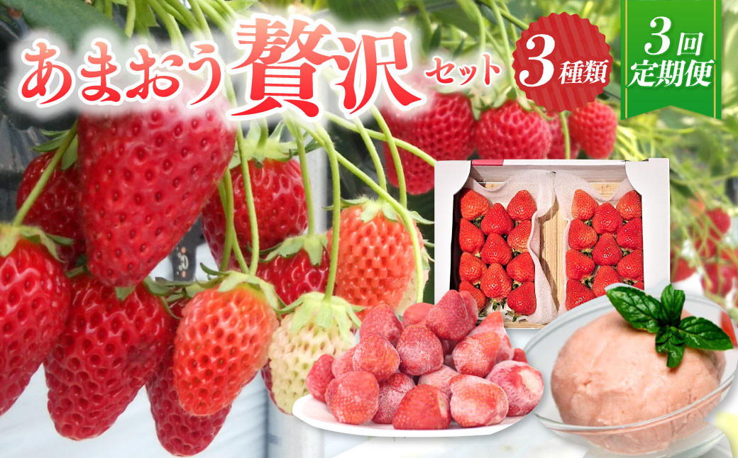 
            【予約受付・3回定期便】あまおう 贅沢セット いちご イチゴ フルーツ 果物【2026年3月上旬～7月下旬発送予定】
          