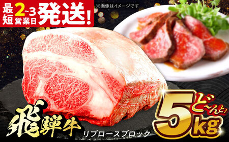 飛騨牛 極上 リブロース ブロック 5kg 多治見市 / 養老ミート 冷凍 和牛 ギフト[THG015]