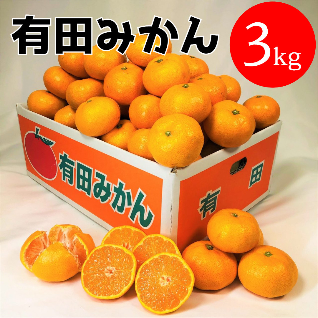 有田みかん 3kg (約27個～30個) DJ038