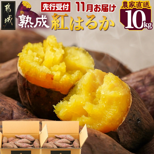先行受付!【11月お届け】【農家直送】山下農園　熟成紅はるか 10kg_AA-I705-11
