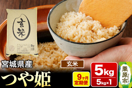 《定期便9ヶ月》【令和7年産・玄米】宮城県産 つや姫 毎月5kg (5kg×1袋)×9ヶ月