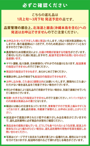 【2026年2月発送】いちご あまおう 560g いちご いちご いちご いちご イチゴ ONE001