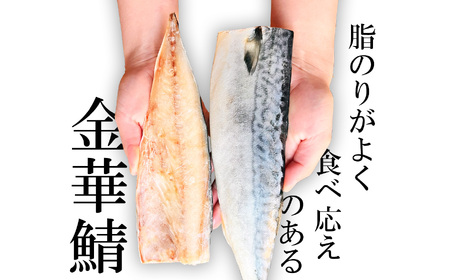 金華さば半身5枚 無塩 バラ凍結