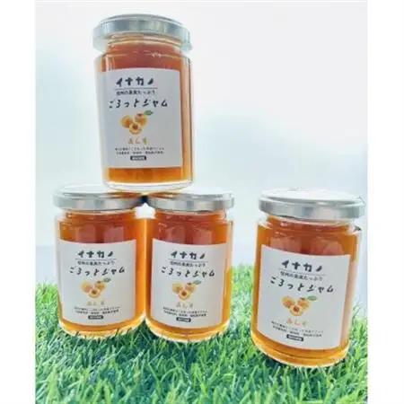 イナカノ　ごろっとジャム　あんず　140g×4本セット【信州中野】【1625402】