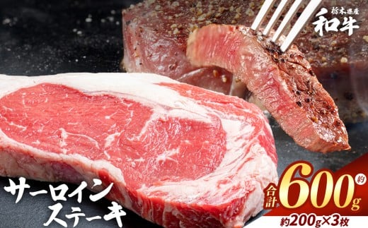 栃木県産和牛 サーロインステーキ 約200gx3枚  | 牛肉 和牛 ステーキ サーロイン ステーキ ステーキ用 旨味 美味しい 肉 お肉  栃木県共通返礼品 栃木県 真岡市 