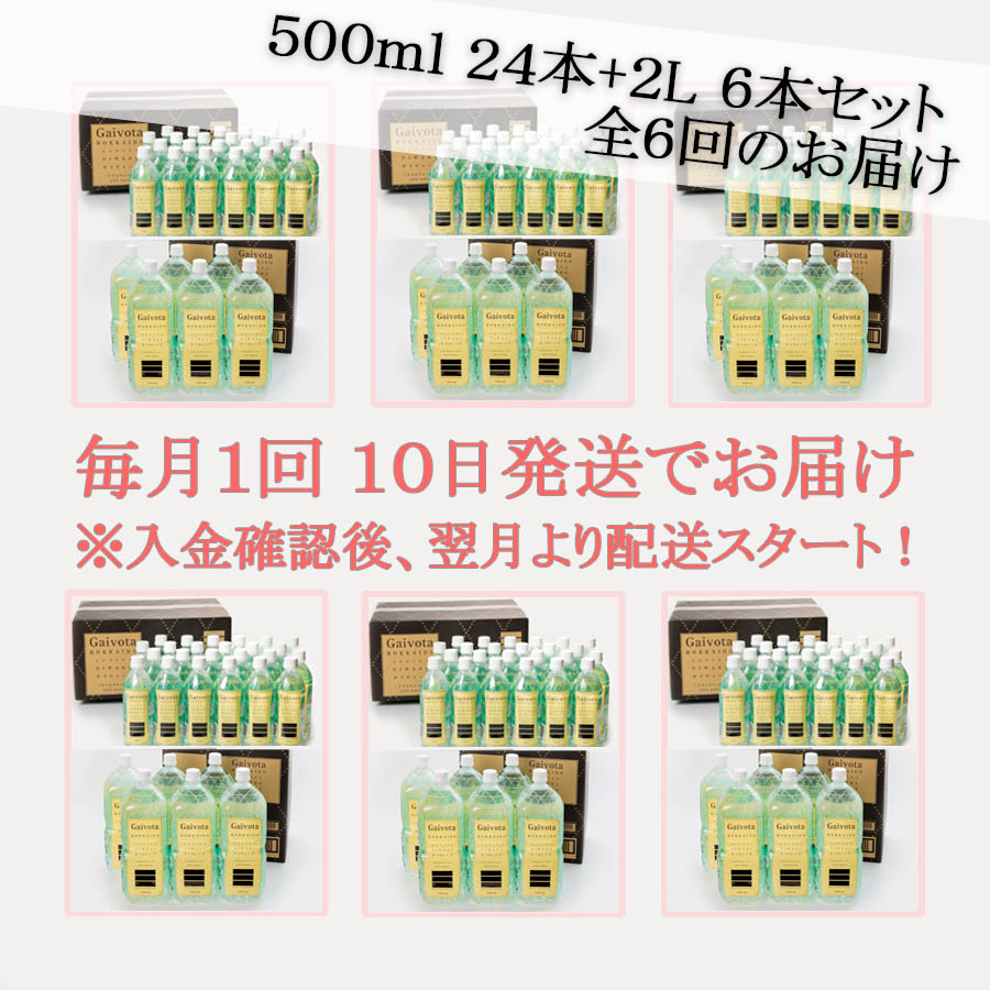 ＜定期便 Gaivota2箱(500ml×48本)×6回＞北のハイグレード食品 天然シリカ水 ミネラルウォーター_イメージ2