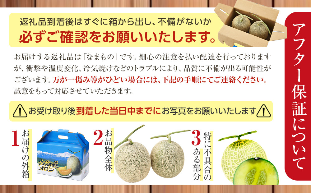 【先行予約】 北海道産青肉メロン約1.6kg×2玉 (2026年7月中旬から発送予定)【 果物 くだもの フルーツ メロン 青肉 青肉メロン 旬 お取り寄せ 甘い 北海道産 旭川市 北海道 】_052