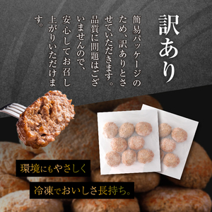 浜中牛とホエイ豚のハンバーグ 16個 ハンバーグ_H0019-100