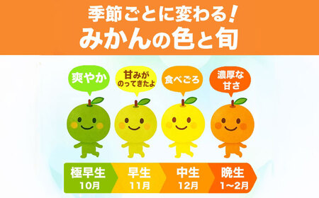 【先行予約】 温州みかん 訳あり サイズミックス 3S-3L 約5kg みかん 蜜柑 サイズ 不選別 家庭用 柑橘 フルーツ 果物 【日本フルーツ株式会社】[ZFJ050]
