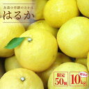 【ふるさと納税】【先行予約】爽やかに甘い！糸島産「はるか」 贈答用約10kg 【2025年3月以降順次発送】 二丈赤米産直センター [ABB002] 16000円 常温