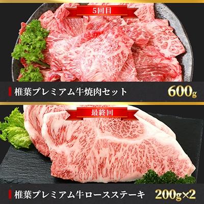 ふるさと納税 椎葉村 【定期便6回】総重量3.1kg!椎葉プレミアム牛満喫定期便≪ステーキ・すき焼き・焼き肉≫ 牛肉 お肉 |  | 03