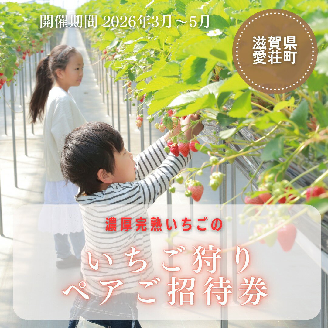 【ふるさと納税】いちご狩り　ペアご招待券　期間2026年3月末頃～2026年5月末日頃（いちご狩りシーズン期間内） 送料無料 いちご BJ04