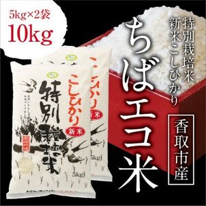 千葉県産 ちばエコ米コシヒカリ5kg×2袋【配送不可地域：離島・沖縄県】【1360939】