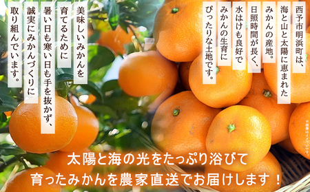 ＜明浜産 温州みかん 約5kg 贈答用＞ 愛媛みかん 農家直送 愛媛県産 果物 フルーツ 柑橘 うんしゅうみかん ウンシュウミカン オレンジ ミカン 蜜柑 S～Lサイズ プレゼント 贈答 国産 濱元柑