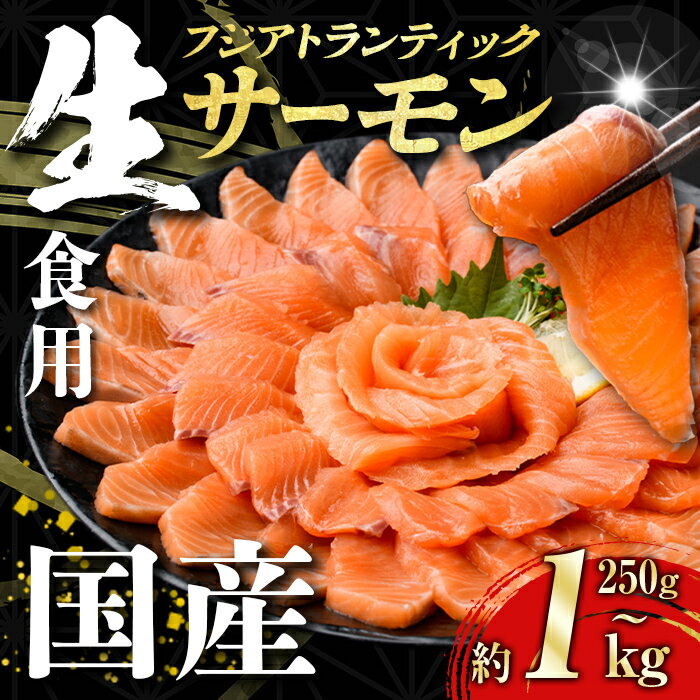 【ふるさと納税】静岡県小山町産 鮮度が違う！ 国産 生 サーモン ノンフローズン 富士山「 フジ アトランティック サーモン 」【 生 】＜選べる 容量＞ 約 250g 〜 1kg以上 ｜ 一度も凍らせてない 刺身 冷蔵 小分け 真空パック 食品添加物不使用 魚 柵 ふるさと納税限定