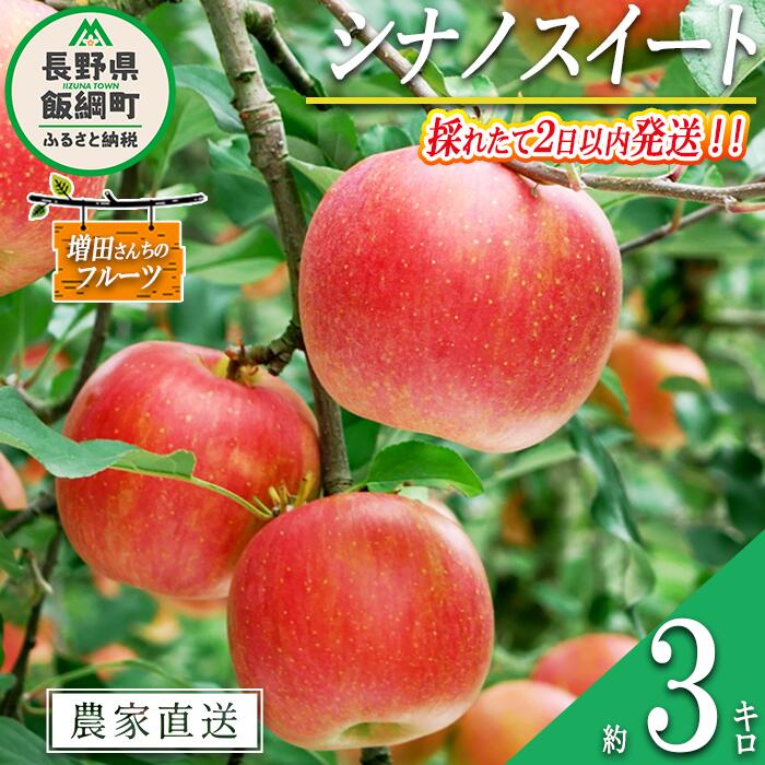 【ふるさと納税】 りんご シナノスイート 家庭用 3kg 採れたてを発送 増田さんちのりんご 沖縄県への配送不可 令和7年度収穫分 長野県 飯綱町 〔 信州 果物 フルーツ リンゴ 林檎 長野 予約 農家直送 12000円 〕発送時期：2025年10月上旬〜2025年11月上旬
