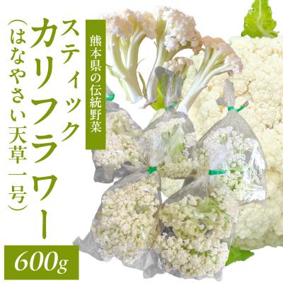 ふるさと納税 天草市 スティックカリフラワー (天草一号)600g_S150-006