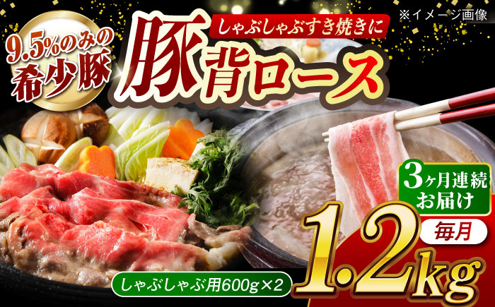 
            【月1回約1.2kg×3回定期便】大西海SPF豚 背ロース（しゃぶしゃぶ用）計約3.6kg 長崎県/長崎県農協直販 [42ZZAA077]
          