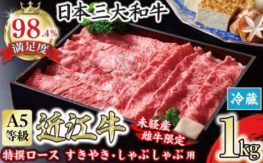 
            近江牛 ロース すき焼き しゃぶしゃぶ 1kg 【FO06W】 ( 近江牛 ブランド和牛 牛肉 ロース スライス 近江牛 やきしゃぶ すきやき すき焼き 国産 黒毛和牛 冷蔵 人気 鍋 滋賀県 近江八幡市 和牛 牛肉 すき焼き 霜降り 神戸牛 松阪牛 に並ぶ 日本三大和牛 近江牛 ふるさと納税 )
          