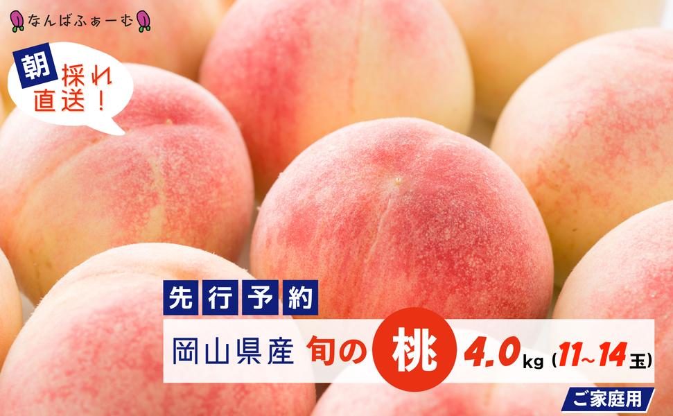＜数量限定＞［なんばふぁーむ］岡山県産 旬の桃 4.0kg（11～14玉）［ご家庭用］【2025年発送】