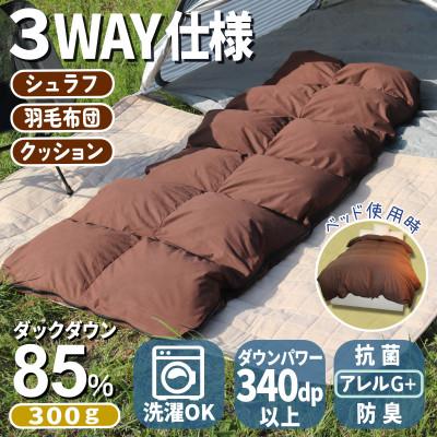 ふるさと納税 広川町 羽毛シュラフ×ダウンケット×ボルスタークッション3WAY寝袋 ダウン85% 軽量タイプ0.3kg