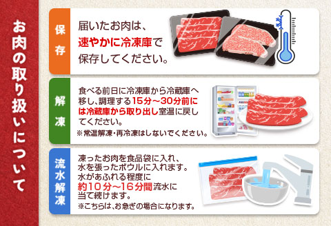 ＜9/11まで受付!!＞宮崎牛 ロースステーキ 計500g（250g×2枚）最速便 2週間以内に出荷 肉質等級4等級 国産 人気 おすすめ【C346-S】