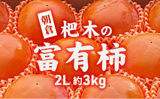 
柿 かき 富有柿 3kg 2L サイズ 10～12個入り 朝倉 杷木の富有柿 カキ フルーツ 果物
