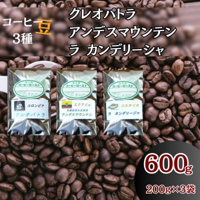 ふるさと納税 伊勢原市 コーヒー豆3袋(クレオパトラ/アンデスマウンテン/ラ カンデリージャ)