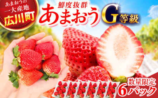 【★先行予約★　2027年2月より発送】あまおうG等級 3ケース（270g×6パック）いちご イチゴ 苺 フルーツ 果物 旬 福岡県産 小分け あまおう 博多 大きい 甘い 広川町 / JAふくおか八女農産物直売所どろや [AFAB071]