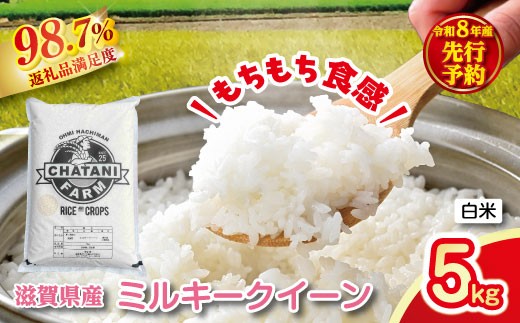 【新米　先行予約】令和8年産近江米　ミルキークイーン 白米【5kg×1袋】【V020W】