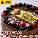 【ふるさと納税】キャンプ・アンド・キャビンズ那須高原オリジナル切り株ケーキ（チョコレートケーキ）【C-52】※着日指定不可