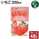 【ふるさと納税】【定期便】【2ヶ月毎2回】いちご 250ml 24本 計48本（24本×2回） いちごミルク いちご果汁 苺 イチゴ 牛乳 乳飲料 ジュース ドリンク 熊本県産 国産 九州 熊本県 菊池市 送料無料