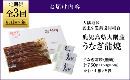 2082-1 鹿児島県 大隅産 うなぎ 蒲焼 5尾（ 750g ）【 3ヶ月 定期 】 KN007-T04 ウナギ 鰻 うなぎ蒲焼 鰻蒲焼き ウナギ蒲焼 惣菜 総菜 定期便 魚類 魚貝類 魚介類 海産