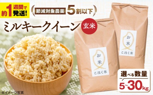 【スピード発送】【令和7年産】米 ミルキークイーン 10kg 玄米 選べる容量 お米 こめ コメ kome 令和7年産 7年産 長浜市/株式会社エース物産 [AQAK011]