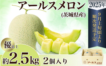 12-11茨城県産アールスメロン約2.5kg（2個）【2024年9月上旬～10月下旬ごろ発送予定】