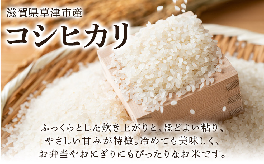 令和8年産　近江米コシヒカリ（玄米）5kg×3　計15kg