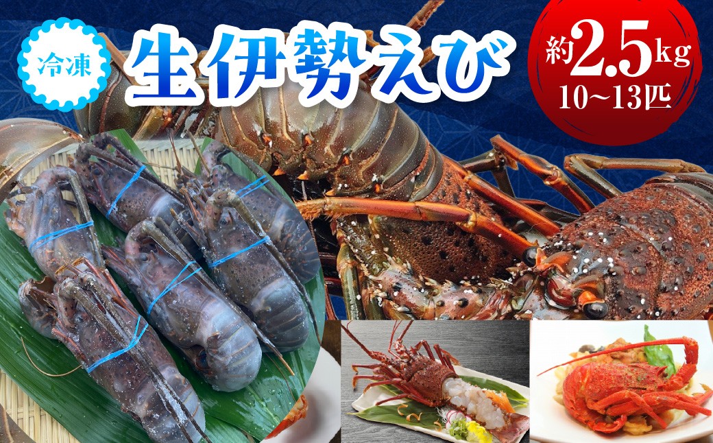 
                  G111 冷凍生伊勢えびB
                