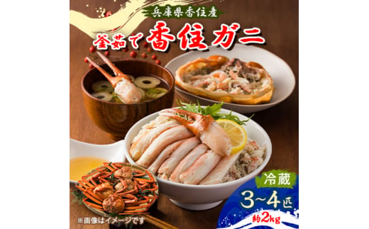 兵庫県香住産 釜茹で香住ガニ(紅ズワイガニ)3～4匹入(約2kg)＜9月中旬以降発送＞【1399219】