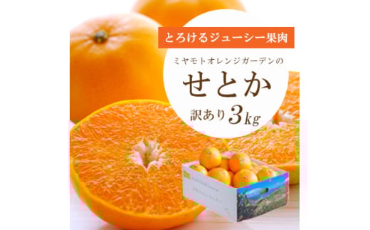 ＜2026年2月以降発送＞とろける濃厚柑橘 せとか3kg 愛媛県八幡浜産＜訳あり＞＜C25-134＞【1128816】