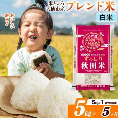 ふるさと納税 大仙市 米《5ヶ月》  ブレンド米【白米】5kg|22_ssn-040505h