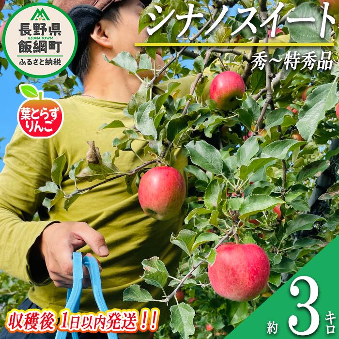 【ふるさと納税】 りんご 葉とらず シナノスイート 秀 〜 特秀 3kg 採れたてを発送 フレッシュフルーツミカズキ 令和7年度収穫分 長野県 飯綱町 〔 信州 果物 フルーツ リンゴ 長野 予約 農家直送 〕発送時期：2025年10月中旬頃〜2025年10月下旬頃 {***}