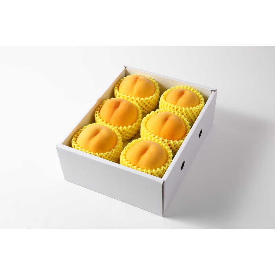 ＜アンスリーファーム＞特秀品Bコース【定期便4回】