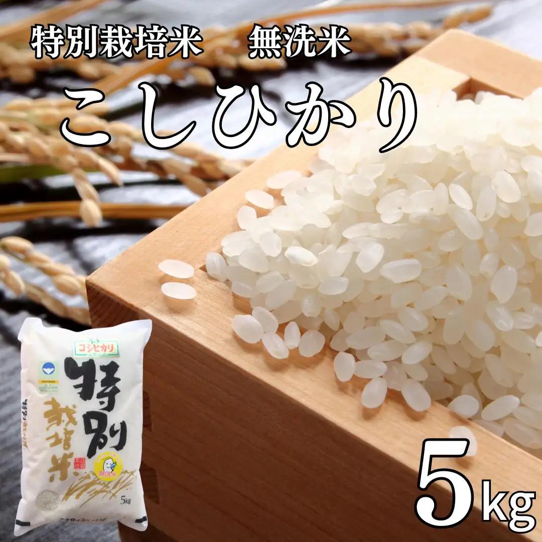 コシヒカリ5kg 無洗米 新潟県認証 特別栽培米 令和7年産 三条市 コシヒカリ
