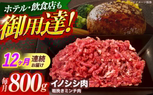 【12回定期便】ジビエ 天然イノシシ肉 粗挽きミンチ肉 800g【照本食肉加工所】 [OAJ069] / 猪 猪肉 いのしし肉 イノシシ イノシシ肉 ジビエ いのしし 長崎県猪 川棚町産猪 ぼたん鍋用いのしし 九州産イノシシ じびえ ジビエ ジビエ肉