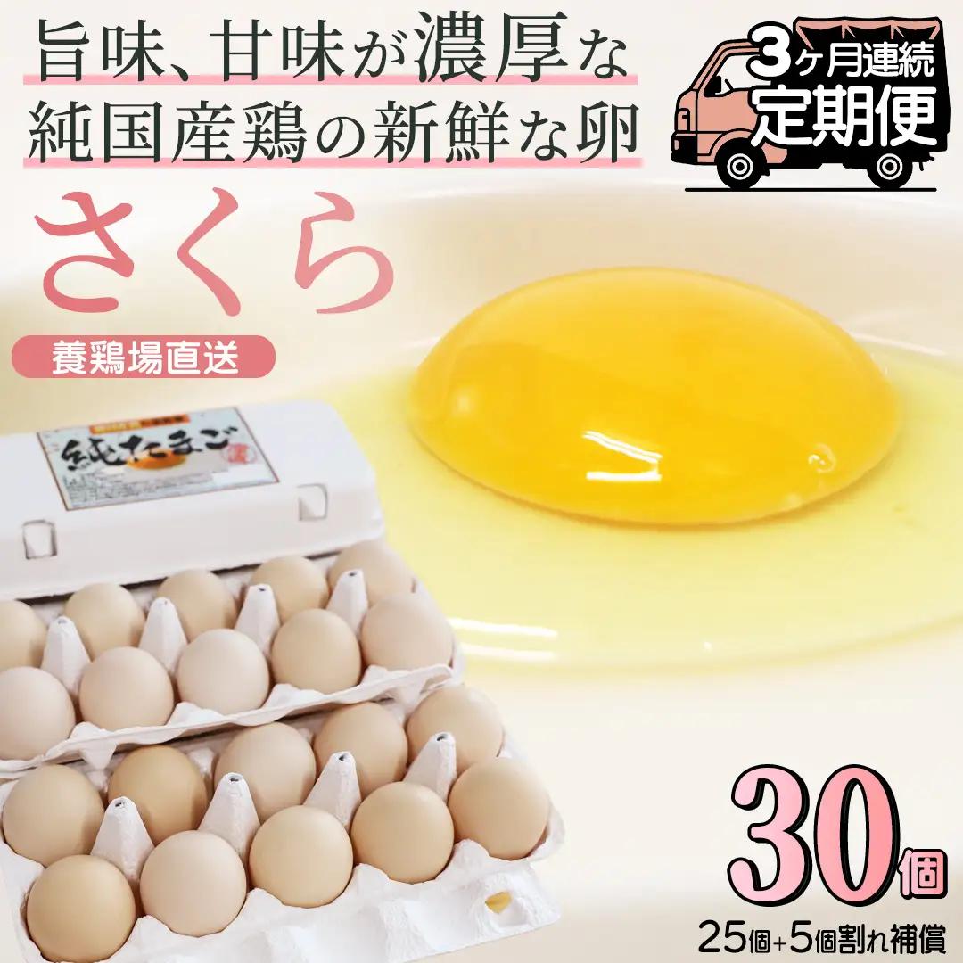 純国産鶏 卵 定期便【さくら】純たまご30個入り 破損保証5個を含む【3ヶ月連続お届け】 (AJ028)  国産 たまご 産地直送 飼料にこだわった 玉子  鶏卵