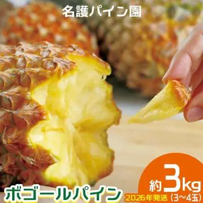 パイン 2026年発送【名護パイン園】ボゴールパイン約3kg（3～4玉） パイン