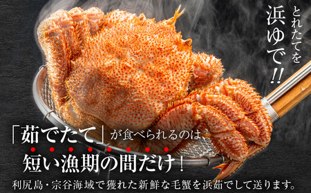 【2027年発送予約】チルドでお届け！ 浜茹で毛ガニ中サイズ２尾（不揃い合計約1kg） 〈福士水産〉
