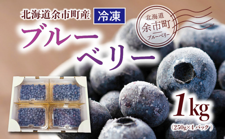 甘い! ジューシー! 余市町産冷凍ブルーベリー 250g×4パック 北海道産ブルーベリー 北海道ブルーベリー 余市産ブルーベリー 余市町ブルーベリー  ブルーベリー 1kg フルーツ 冷凍フルーツ 果物_Y010-0344