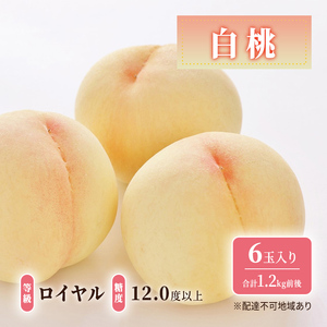 先行予約 晴れの国 岡山のフルーツ 定期便 2回コース 1回目ロイヤル白桃6玉 合計約1.2kg／2回目冬桃がたり6個 合計約1.2kg