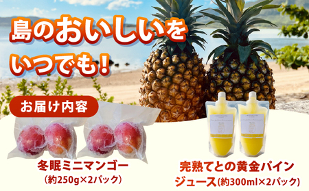 《8月以降順次発送》最高糖度20度！？冬眠ミニマンゴーと完熟てとの黄金パインジュース